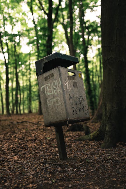 What to know about urgent waste removal in Honor Oak